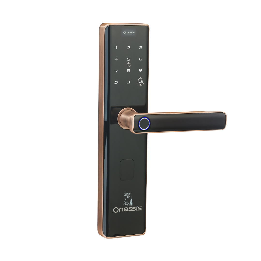Smart lock Nesta Pro