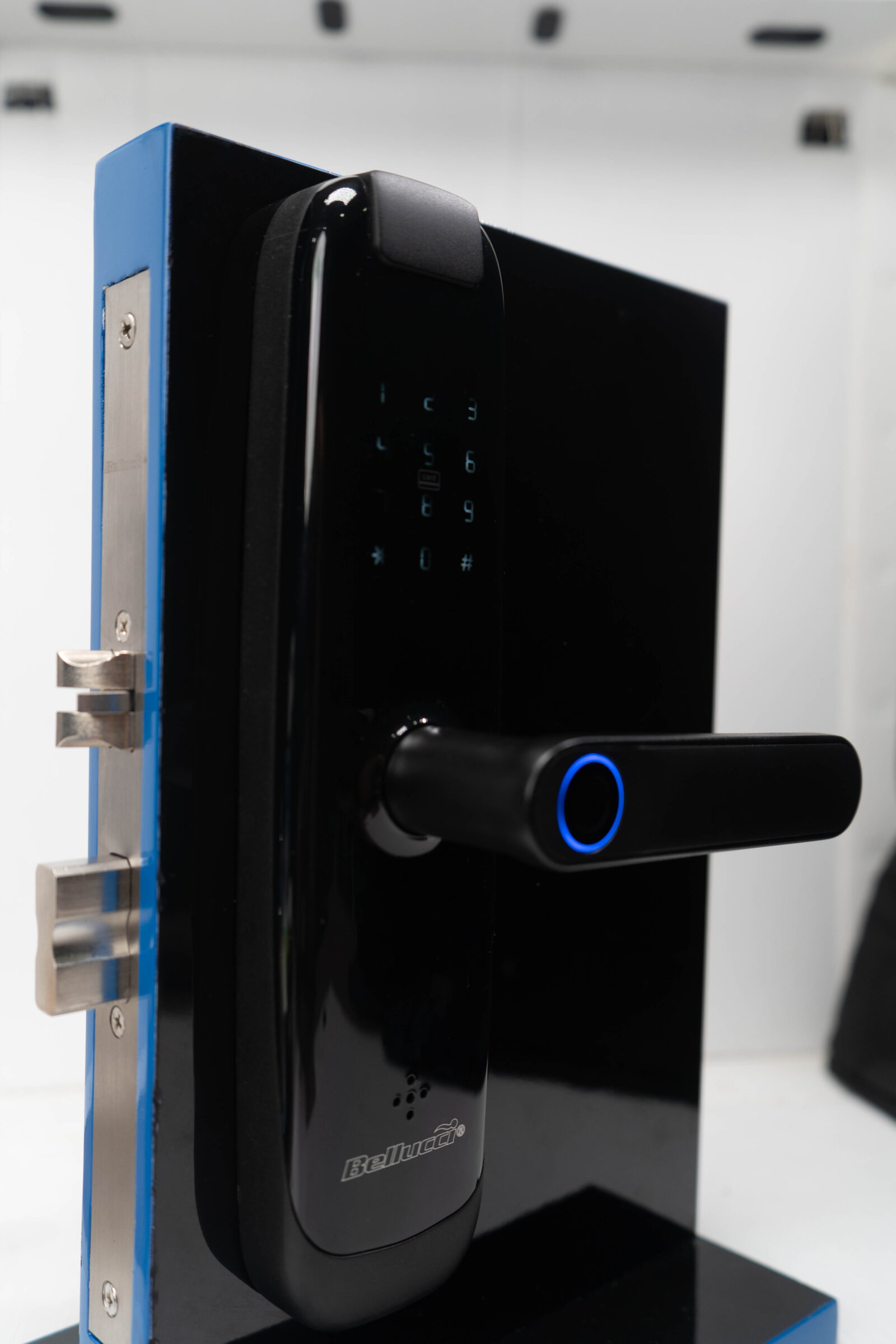 smart door lock wifi