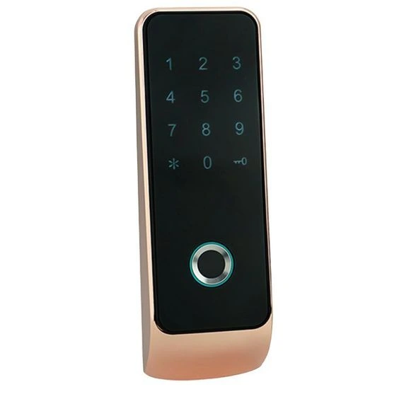 electronic door lock