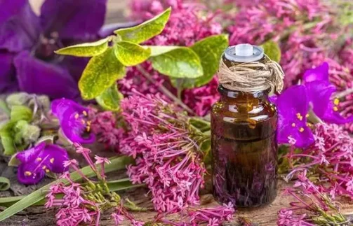 clary sage
